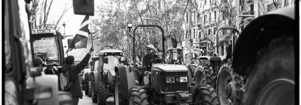 Últimas Noticias sobre Movilidad y Crisis en Barcelona