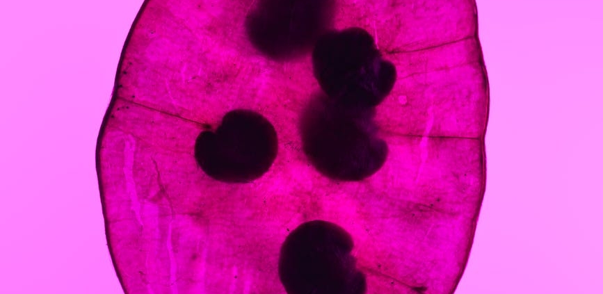 Innovación y movilidad en Barcelona para ciudadanos y negocios Innovación y movilidad en Barcelona para ciudadanos y negocios