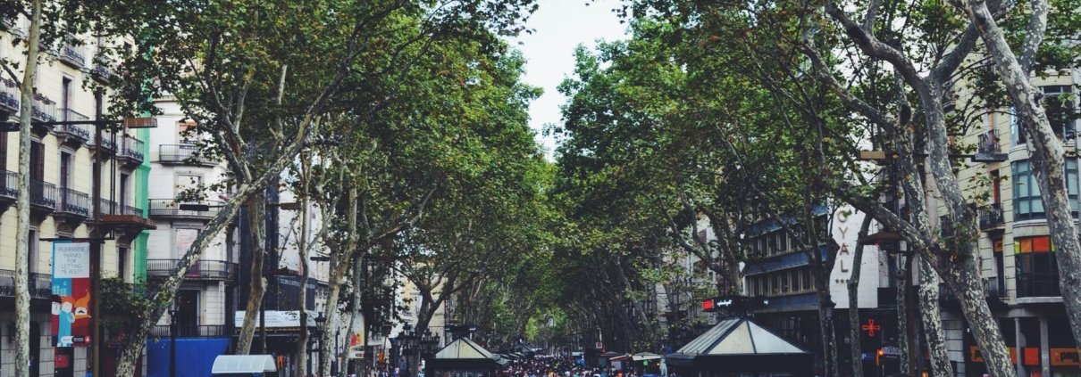 Barcelona: Conectando a la Comunidad con la Actualidad Local
