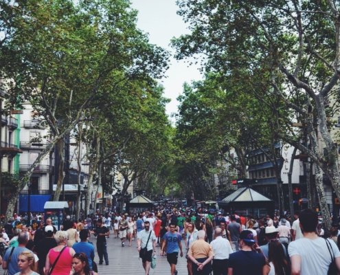 Barcelona: Conectando a la Comunidad con la Actualidad Local